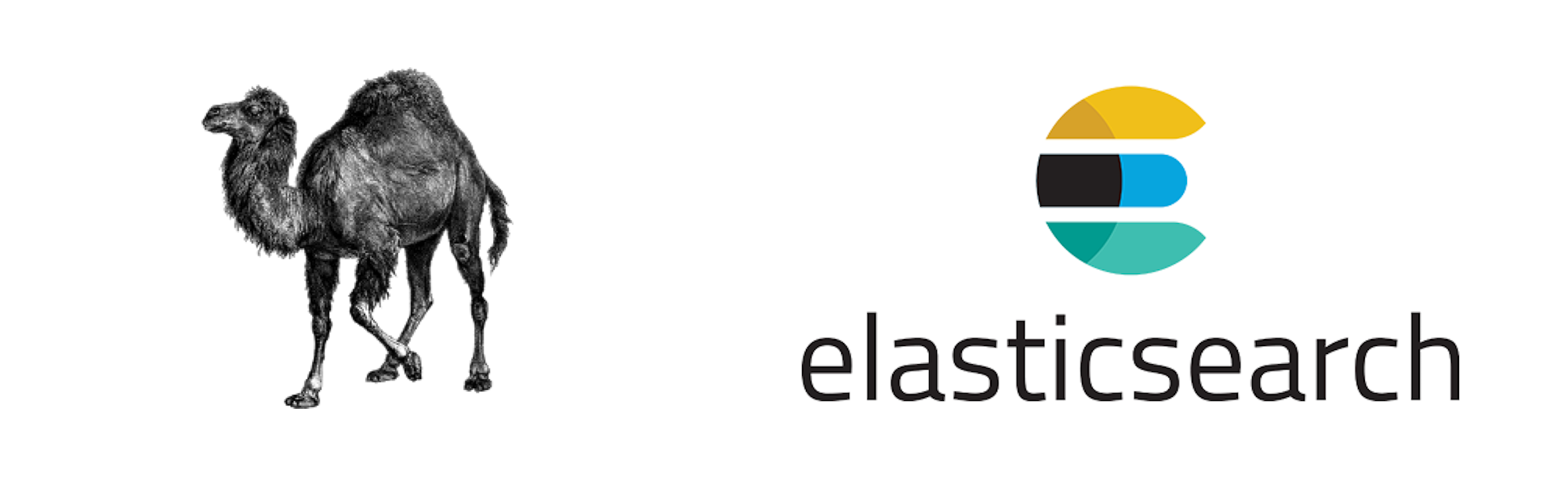 Elasticsearch Client Programming - Perl